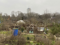 904094 Gezicht op het terrein van de Volkstuinen Rijndijk aan de Rijndijk te Utrecht.